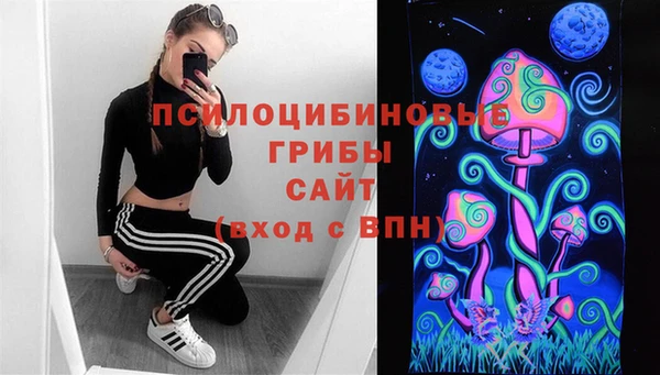 амф Балахна