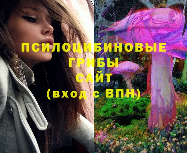 ECSTASY Баксан